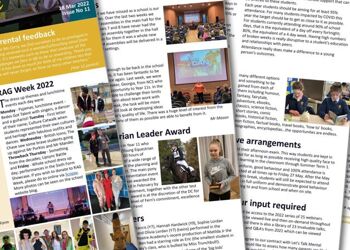 Parent Newsletter (Issue 11)